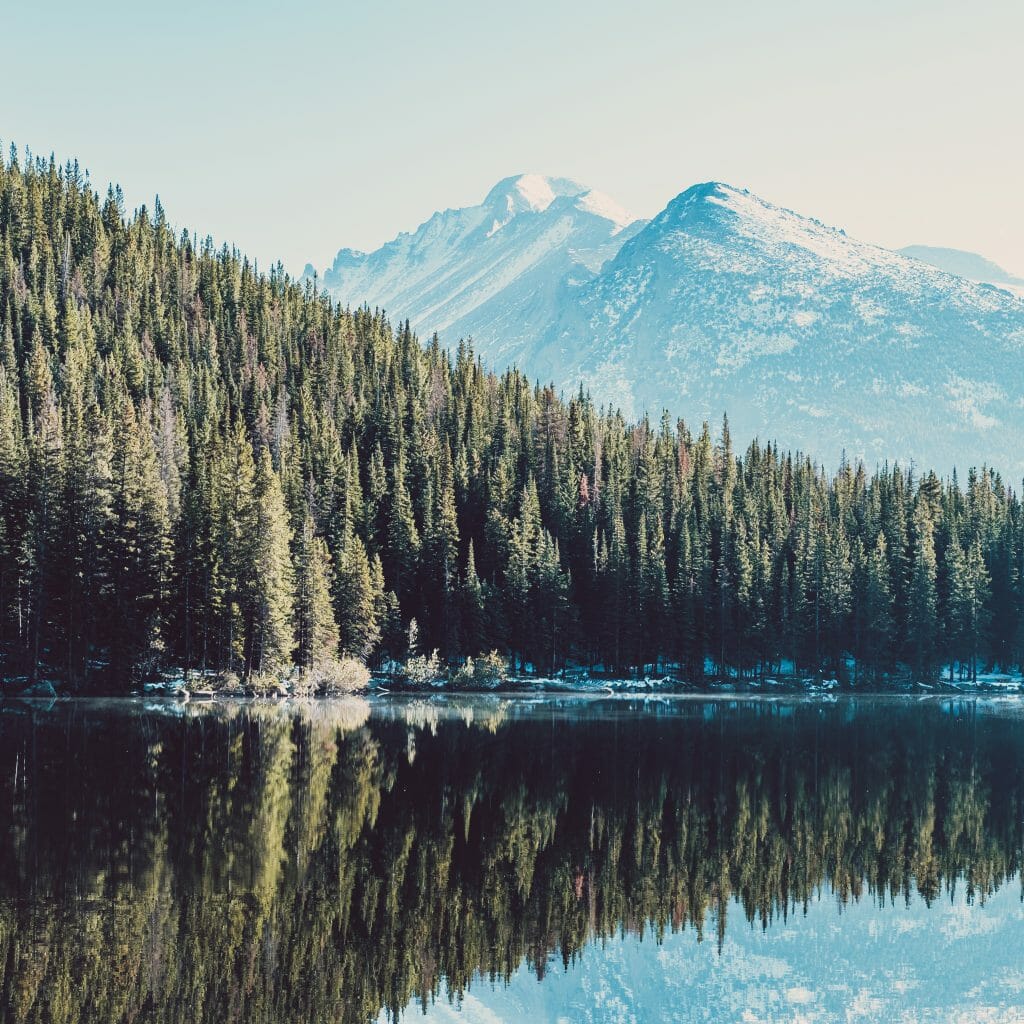 Guide to King County Ecological Consulting