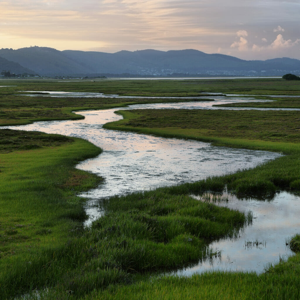 WETLAND DELINEATION COST – WASHINGTON STATE