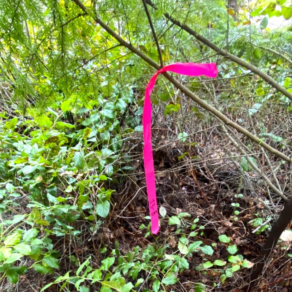 King County Septic Approval: Understanding Critical Areas Designation (CAD)